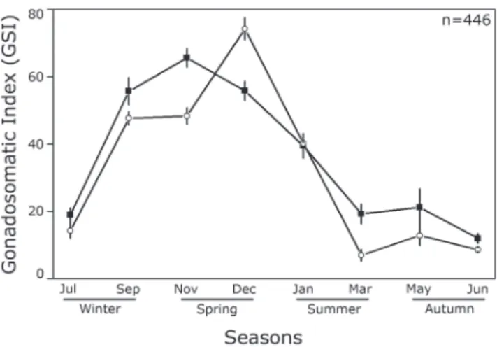 Fig.  3.  Seasonal  variation  in  percent  (%)  frequency  of  occurrence  of  gonad  maturation  stages  (GMS)  for  females  (white  column)  and  males  (black  column)  of  Cetengraulis  edentulus in Guanabara Bay.