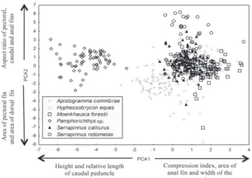 Fig. 2. Distribution of species scores in the multivariate  ecomorphological space generated by the first two PCA axes  (axis  1:  eigenvalue  =  4.3  and  explained  variability  (%)  =  20.474; axis 2: eigenvalue = 3.4 and explained variability  (%) =16.