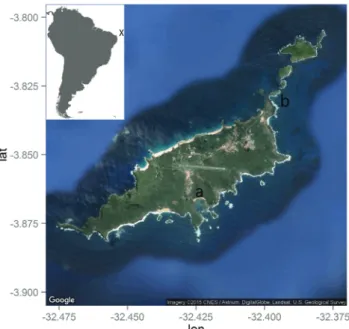 Fig. 1. Map of the Archipelago of Fernando de Noronha  (FEN), Brazil, depicting the locations of (a) Baía do Sueste  and (b) Enseada dos Tubarões, where nurse shark mating  activity was witnessed