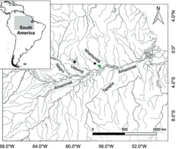 Fig. 10. Distribution of Centromochlus orca. Green star  represents type locality.