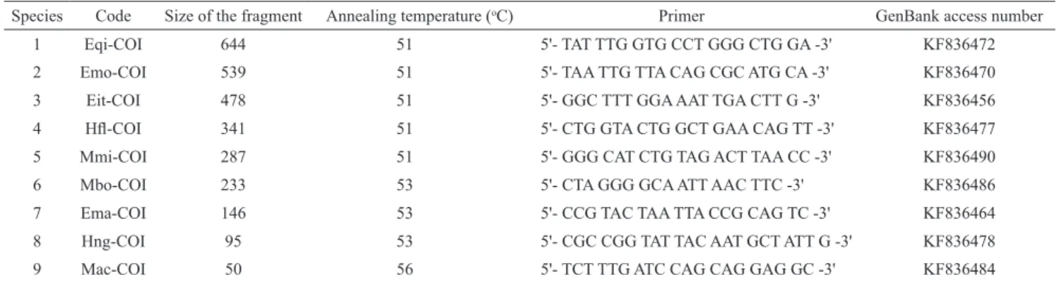 Table 1. Species-specific primers developed for the present study, the size of the fragments isolated, and the GenBank  accession numbers of the sequences obtained for the nine grouper species of the family Epinephelidae
