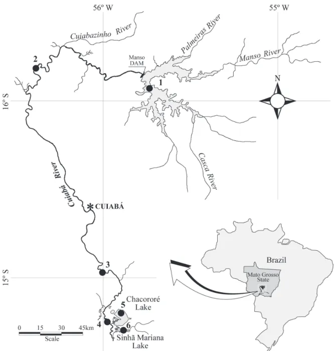 Fig. 1. Location of the Cuiabá River basin, Mato Grosso, Brazil, and the sampling sites: lotic (2, 3 and 4) and lentic (1, 5 and 6).