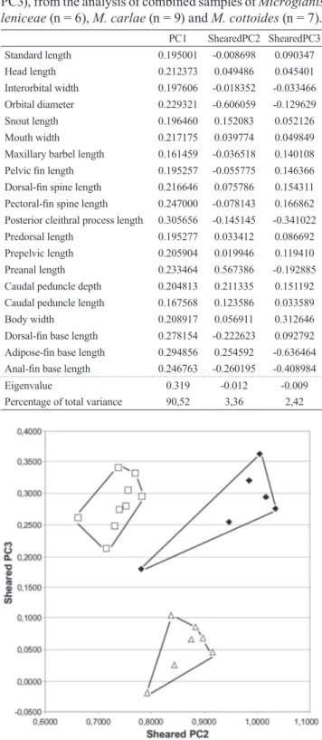 Table 2.  Loadings of characters, eigenvalue and percentages  of variance on first three Principal Components axis  (PC1-PC3), from the analysis of combined samples of  Microglanis  leniceae (n = 6), M