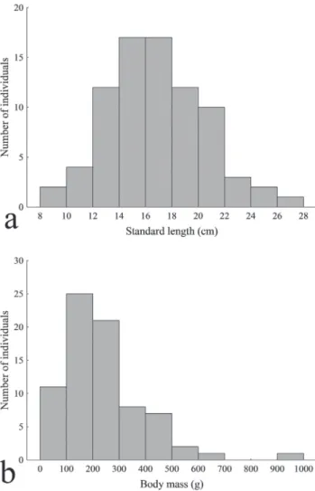 Fig. 2. Number of individuals of Mylesinus paucisquamatus  within classes of standard length (a, centimeters) and total  weight (b, grams), upper rio Tocantins.