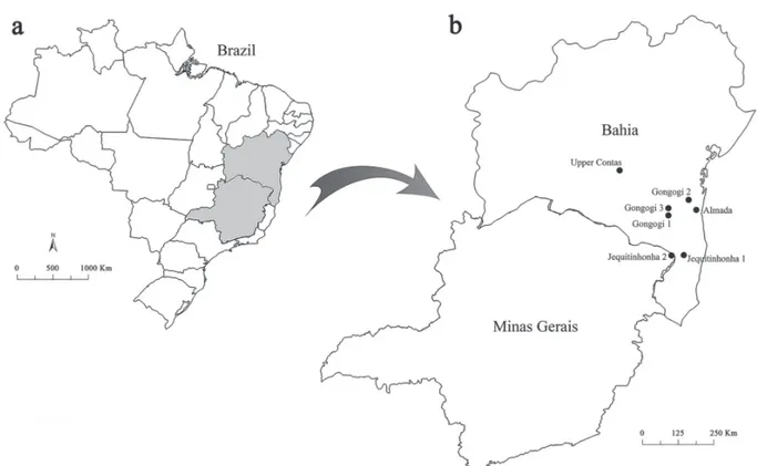 Fig. 1. Map of Brazil (a) and collection sites (b) of Nematocharax venustus  along the Almada (Almada), Contas (Upper  Contas, Gongogi 1, 2, and 3), and Jequitinhonha River basins (Jequitinhonha 1 and 2) in the states of Bahia and Minas Gerais.