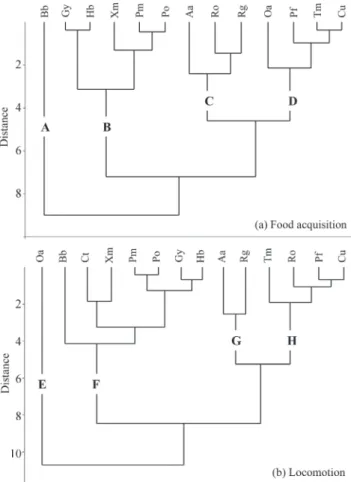 Table 3.  Results of the Principal Component Analysis for  the functional traits of the key functions: food acquisition  and  locomotion