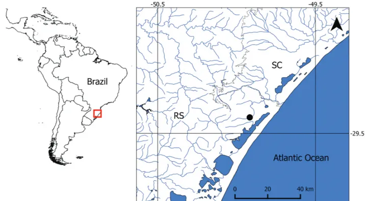 Fig.  1. Location of the sampling site of Deuterodon stigmaturus  (black  dot)  in  the  Paraíso  stream,  a  tributary  of  the  Mampituba River in Southern Brazil coastal region, between Rio Grande do Sul (RS) and Santa Catarina (SC) states.