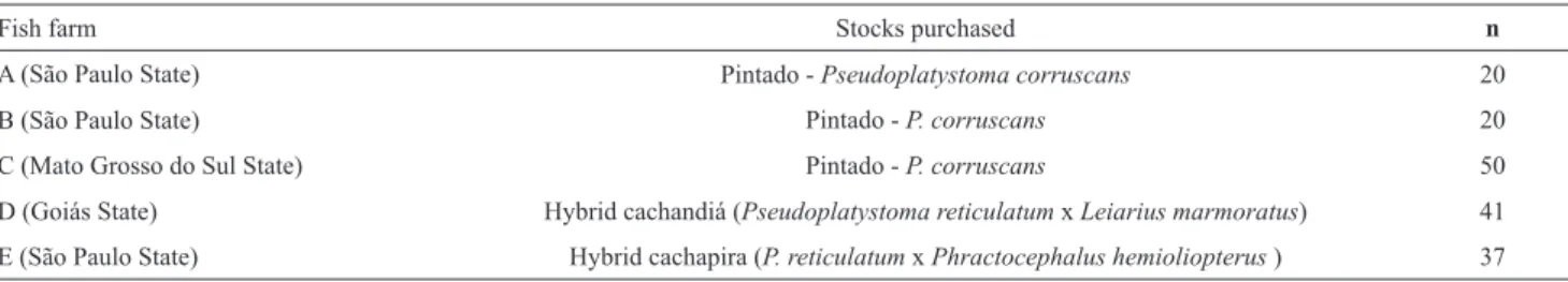Table 1. Molecular identification of juvenile catfish fish stocks purchased from different fish farmers producers.