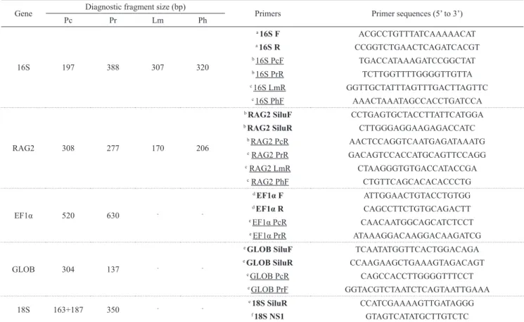 Table 2. Sequences of the primers used in the PCR experiments. Underlined, species-specific primers used for multiplex- multiplex-PCR; Bold, universal primers; F: foward, R: reverse, Pc:  Pseudoplatystoma corruscans , Pr:  Pseudoplatystoma reticulatum,  Lm