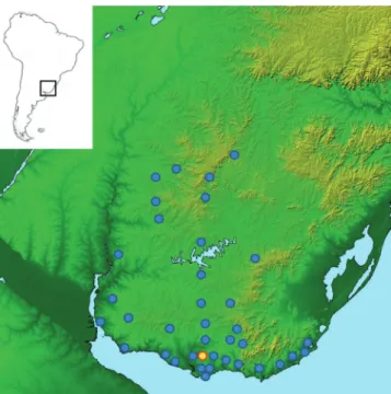 Fig. 6. Distribution of Gymnogeophagus terrapurpura. 