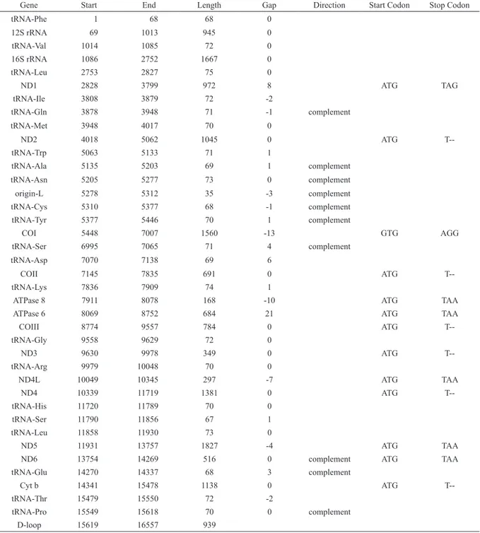 Table 3. Positioning of genes in the mitochondrial genome of Corydoras nattereri. Negative gap values indicate overlap.