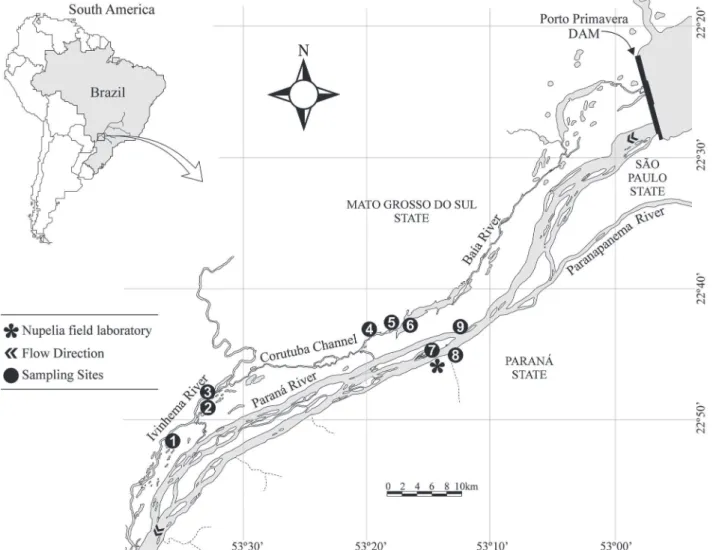 Fig. 1. Sampling sites in the upper Paraná River floodplain. Ivinhema subsystem (1. Ventura Lake, 2