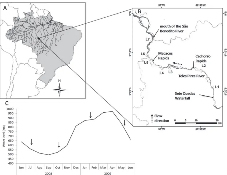 Fig. 1. A: Map of the portion of the Amazon River basin in Brazil (South America), with a detail of the Teles Pires River