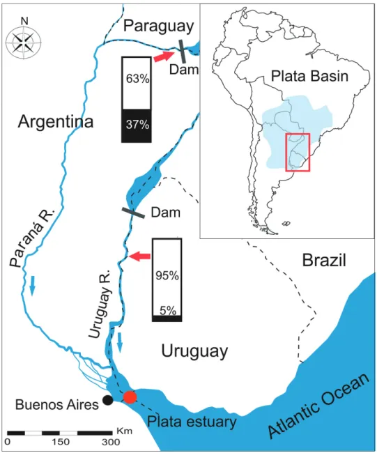 Fig. 1.  Sampling sites of Prochilodus lineatus (red arrows). Red point shows the sampling site of fish use for transition  threshold estimation between freshwater and brackish environments