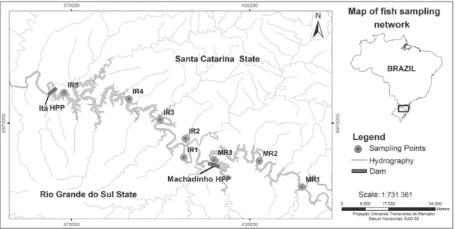 Fig. 1. Study area and location of sampling points at the Machadinho and Itá reservoirs.