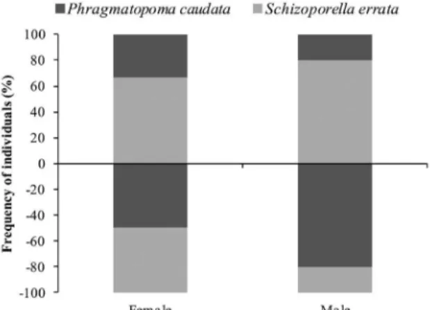 Figure 4. Pachycheles monilifer. Frequency by sex according to  the relative preference to the substrate that they were sampled