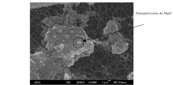 Figura 2-13: Imagem de microscopia eletrônica de varredura onde são indicadas  nanopartículas de óxido de magnésio  