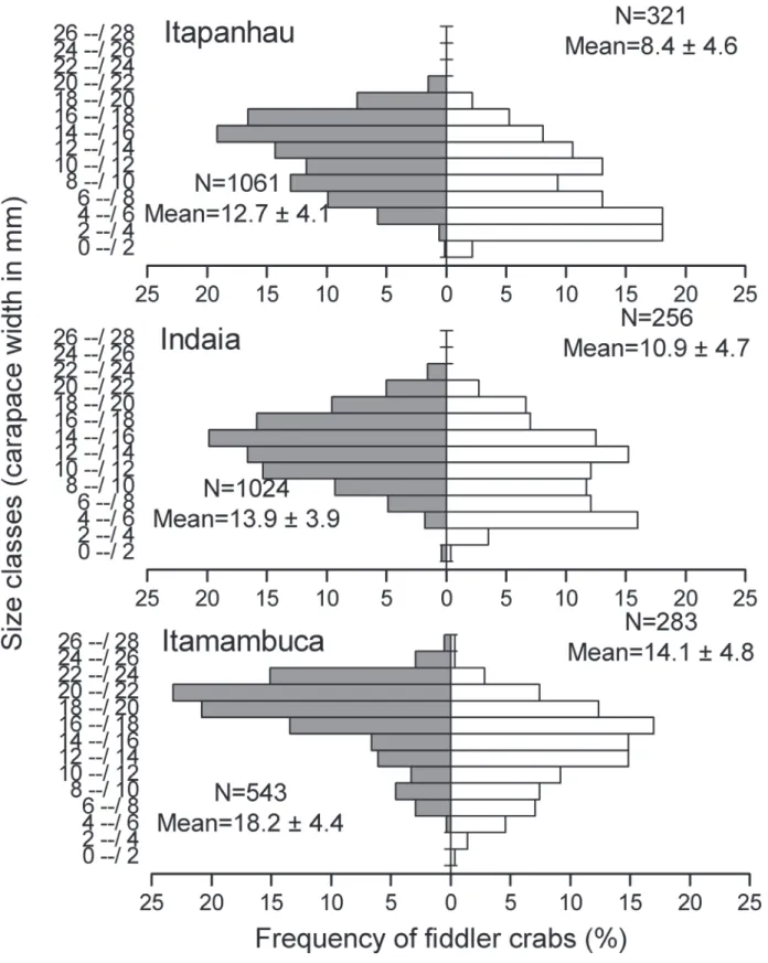 Figure 2.  Minuca vocator (Herbst, 1804). Size–frequency distribution obtained by CPUE (catch-per-unit-effort – gray bars) and  QT (quadrat technique – white bars) in each population