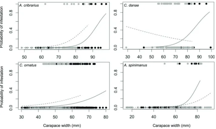 Figure 1.   Relationship between probability of being infested by Octolasmis lowei and host size by sex