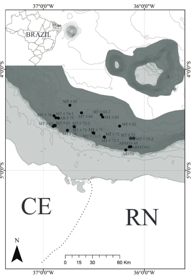 Figure 1.  Location of the sampling stations between the states of Rio Grande do Norte and Ceará, northeast of Brazil.