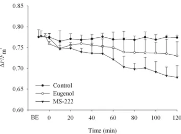 Figure 1. Effects of 0.8 g l ⫺1 MS-222, 0.1 ml l ⫺1 eugenol in seawater, and 0% anesthetic (control) on the effective quantum yield of PSII ( ⌬ F/