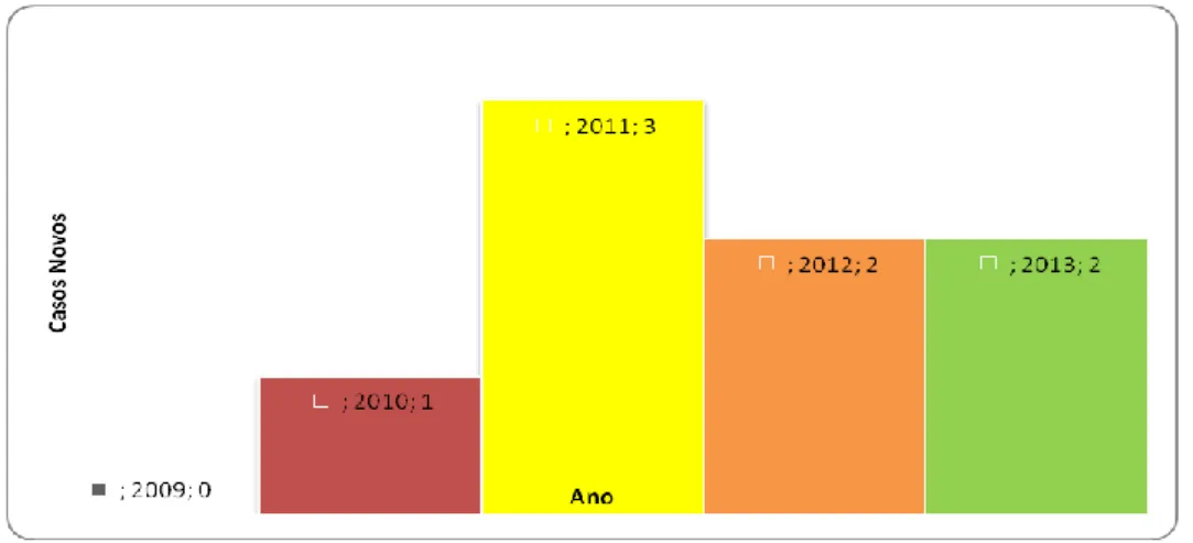 Gráfico 1: Casos de esquitossomose entre 2009 e 2013  