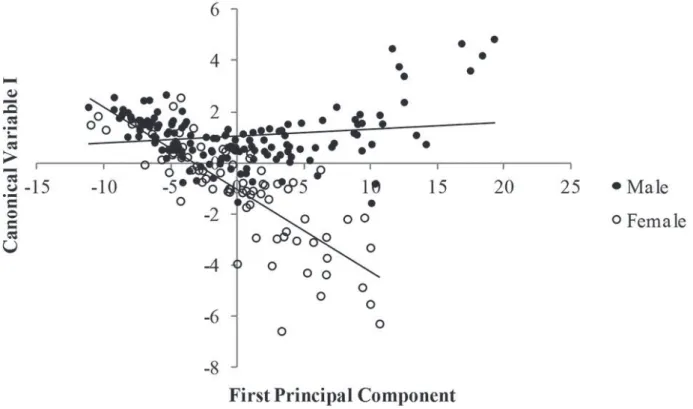 Figure 2.  Relationship between the scores and the generalized size (first principal component) in individuals of both sexes of Aegla  marginata