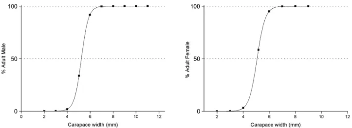 Figure 7. Adjustment of the logistic function, indicating carapace width (CW) of Panopeus austrobesus, where 50% of the crabs  are morphologically mature, in the mussel farm at Itaguá Beach, Ubatuba, State of São Paulo, Brazil.