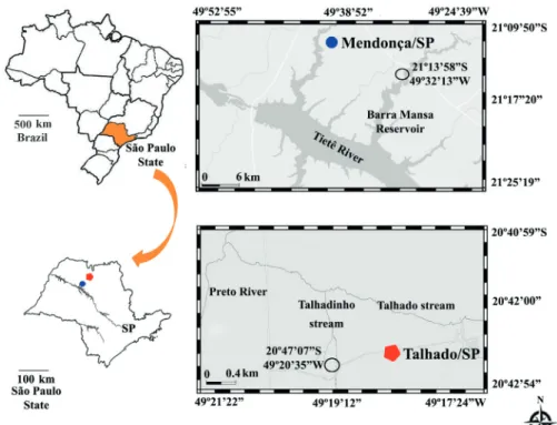 Figure 1.  Sampling locations of specimens collected in São Paulo State, Brazil. A, Macrobrachium jelskii (Miers, 1877) collected in  Mendonça; B, M