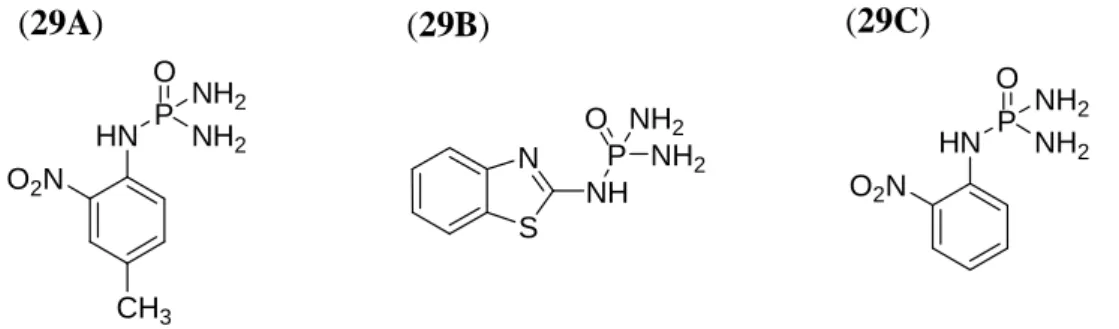 Figura  29  –  Estruturas  químicas  de  inibidores  de  urease  derivados  de  fosforamidatos,  desenvolvidos por Domínguez e colaboradores (2008)