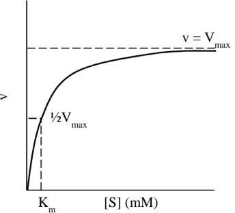 Figura  37  –  Dependência  da  velocidade  inicial  v  e  da  concentração  de  substrato  [S],  demonstrando os parâmetros cinéticos K m  e  V max  (adaptado de Lehninger  et al ., 1995)