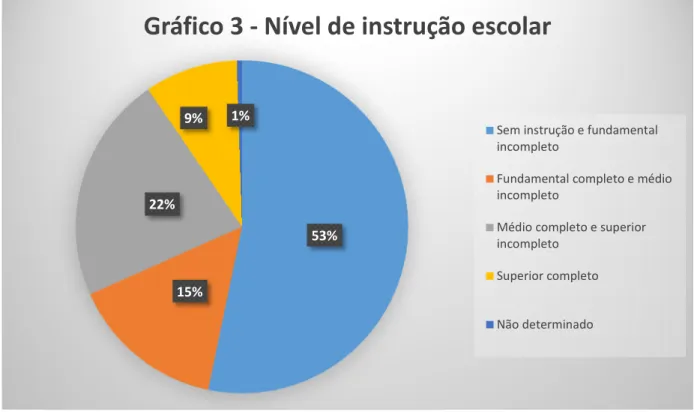 Gráfico 3 - Nível de instrução escolar