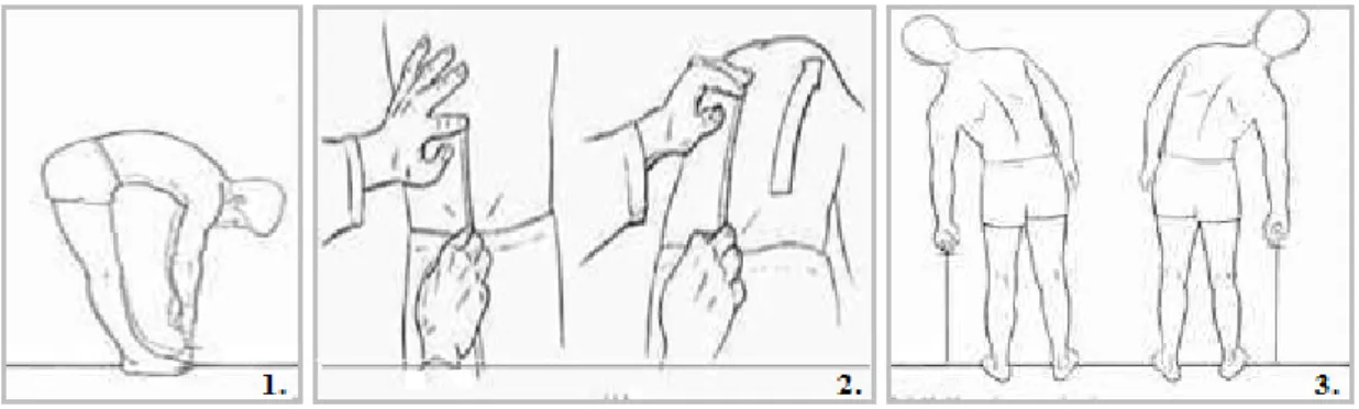 Figura  3:  Exemplos  de  alguns  testes  complementares  de  diagnóstico  (1.  Distância  dedos  -  solo;  2