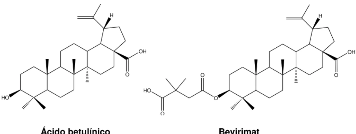 Figura 6: Estrutura do acido betulínico e do bevirimat. 