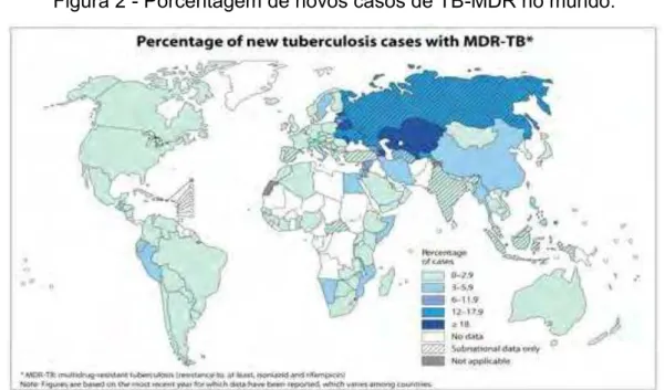 Figura 2 - Porcentagem de novos casos de TB-MDR no mundo. 