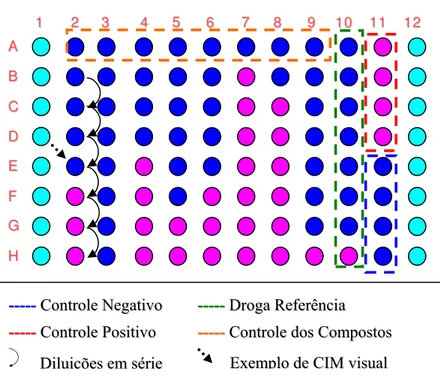 Figura 2 - Representação esquemática do preparo da microplaca e exemplo de  um resultado de CIM através da técnica do Rezasurin Microtiter Assay (REMA) 