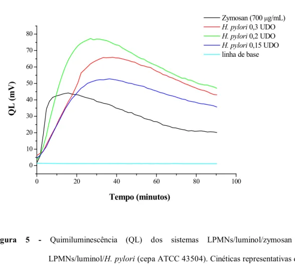 Figura 5 - Quimiluminescência (QL) dos sistemas LPMNs/luminol/zymosan e  LPMNs/luminol/H