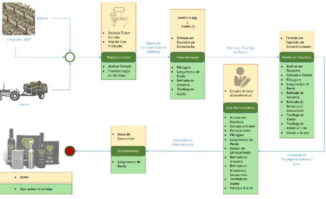 Figura 8: Vertente operacional 