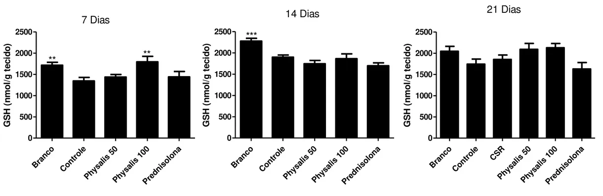 Figura 10 Avaliação dos níveis de glutationa colônica (GSH) em animais submetidos ao modelo experimental de retocolite crônica com recidiva induzida por TNBS,  na primeira, segunda e terceira semanas de tratamento