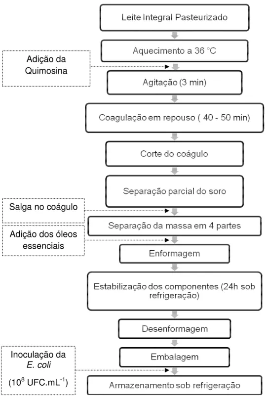 Figura  1  –  Fluxograma  de  processo  de  fabricação  do  queijo  tipo  Minas  Frescal  com e sem adição de óleo essencial (1%, 2% e 5%) e inoculação com E