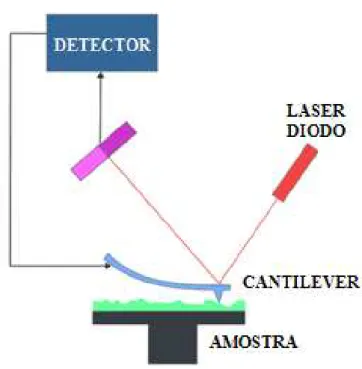 Figura  3.10  -  Diagrama  representativo  de  funcionamento  do  microscópio  de  força  atômica