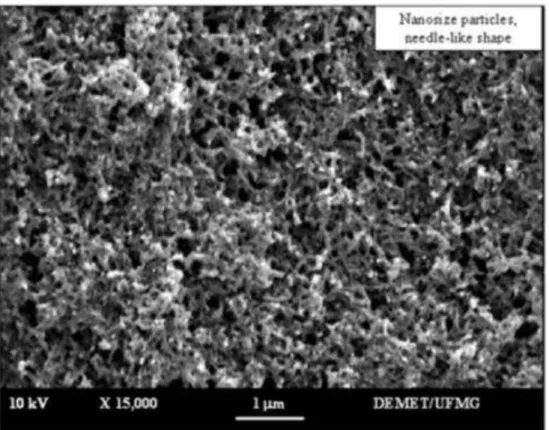 Figura  3.11  –  Imagem  de  MEV  da  HAP.  Fonte:  SANTOS;  HENEINE;  MANSUR  (2008)