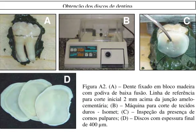 Figura A3. (A) – Marcação para obtenção de discos  com 8 mm de diâmetro; (B) – Discos de dentina  após desgaste; (C) – Espécime: disco de dentina  com barreira de proteção; (D) – Inserção do disco  de papel e dos espécimes (Discos de dentina) Confecção dos