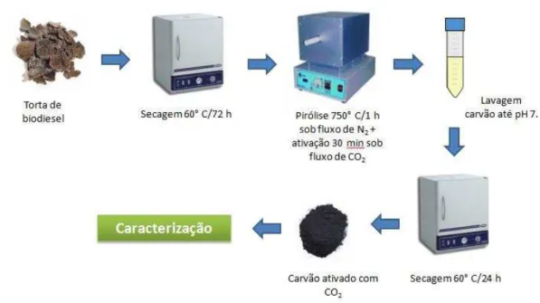 Figura 4 - Esquema da produção dos carvões ativados fisicamente com CO 2 