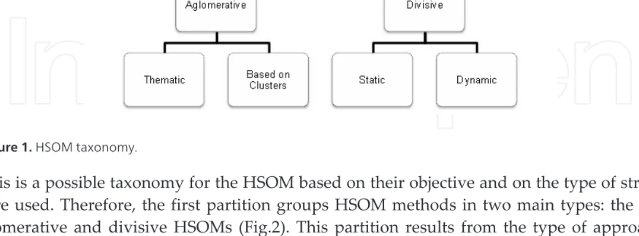 Figure 1. HSOM taxonomy.