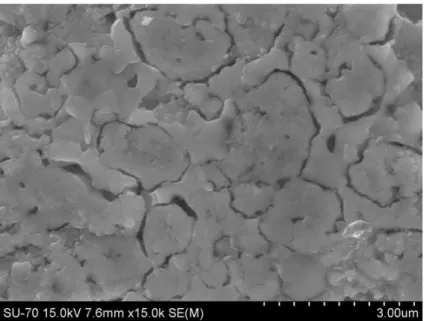 Figure 4.2. SEM micrograph of 40 vol% Ni-BZY reduced cermet anode formed without porogen 