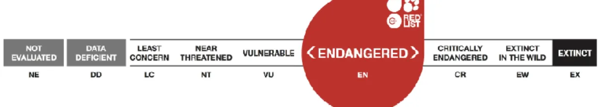 Figura 6-Categorias IUCN, caso Lynx pardinus (Rodríguez &amp; Calzada, 2015). 