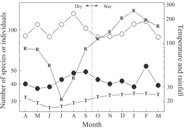 FIgure 2: Monthly mean climate measurements at Caetetus Ecological Station (T: temperature and R: rainfall) and monthly total counts  of species richness and numbers of individuals in a semideciduous forest remnant in São Paulo, southeastern Brazil