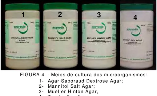 FIGURA 4 – Meios de cultura dos microorganismos: 1-  Agar Saboraud Dextrose Agar;  