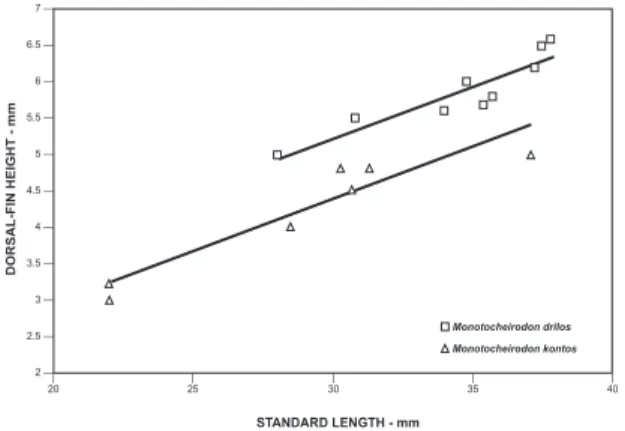 FIgure 8: Dorsal-fin height as function of standard length for  Monotocheirodon drilos and M. kontos.
